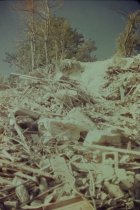 debris from Stanley Field estate